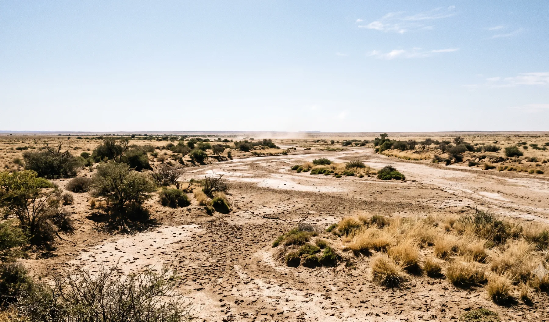 Northern Cape semi-arid plains with a dry riverbed and sparse vegetation under a wide open sky.