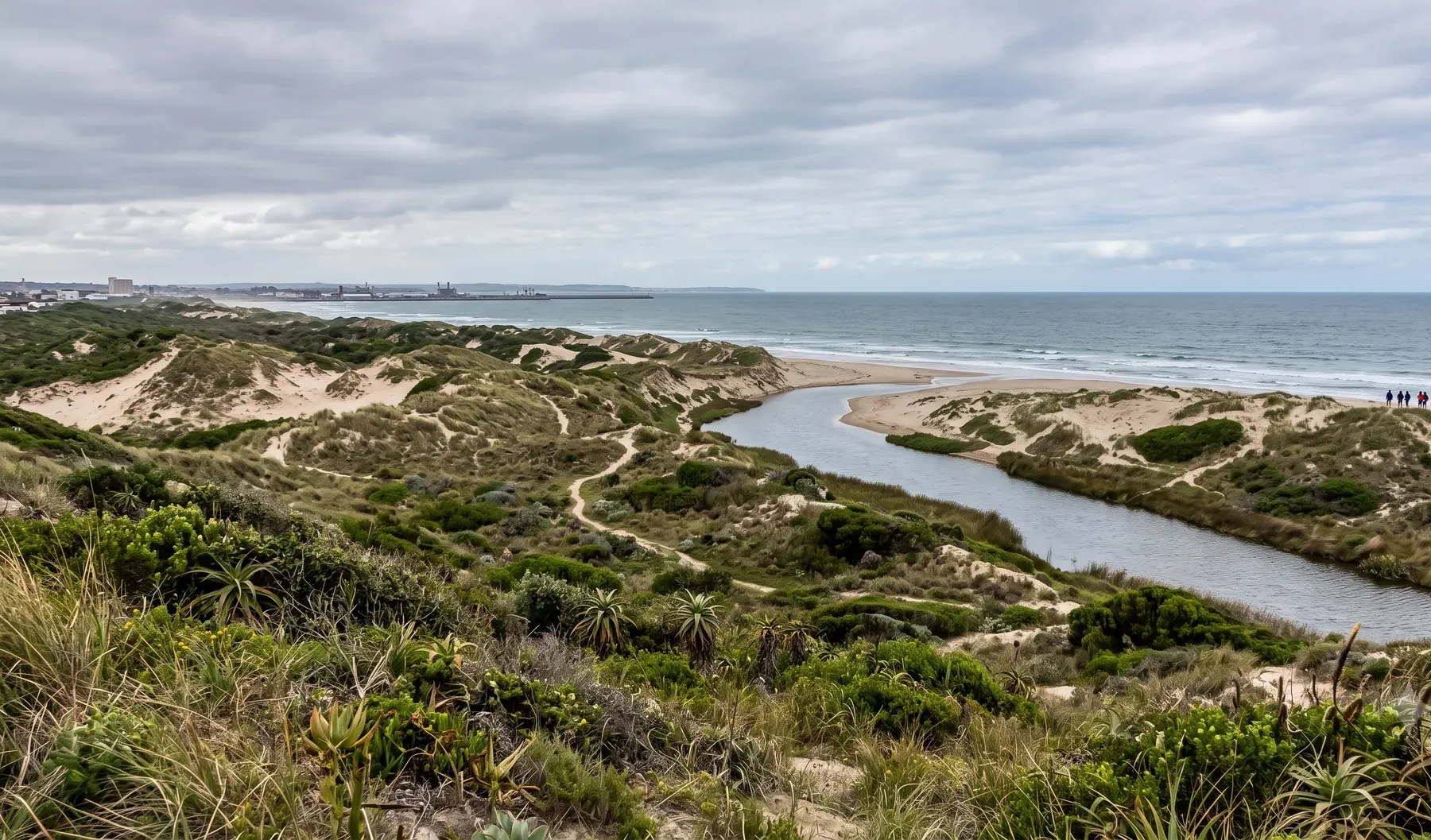 An Eastern Cape coastal catchment draining toward the sea, with dune vegetation in the foreground.