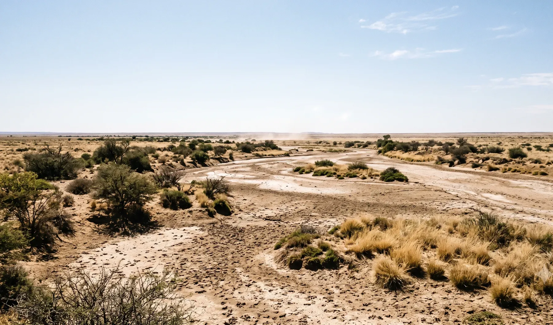 Northern Cape semi-arid plains with a dry riverbed and sparse vegetation under a wide open sky.