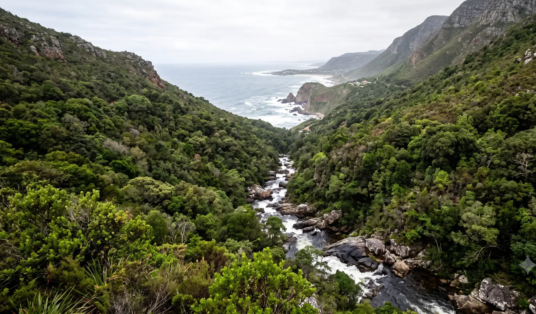 Southern Cape forested mountain slopes with a fast-flowing stream descending toward the Garden Route coastline.