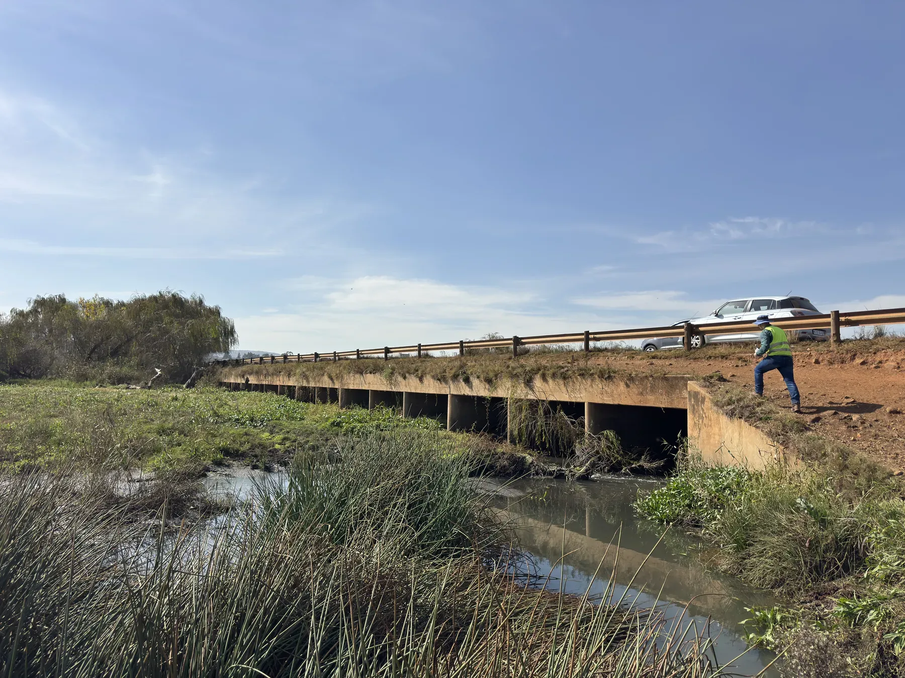 Engineer inspecting a multi-cell concrete culvert bridge over a reed-lined stream during a capacity assessment.